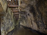 IMG_3229